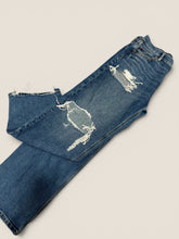 Load image into Gallery viewer, (10) American Eagle Baggy Straight Fit Jean
