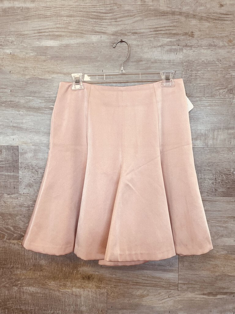 (4) Ann Taylor Pink Skater Skirt Womens