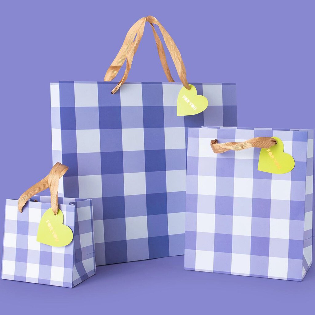 Blue Gingham Gift Bag Small