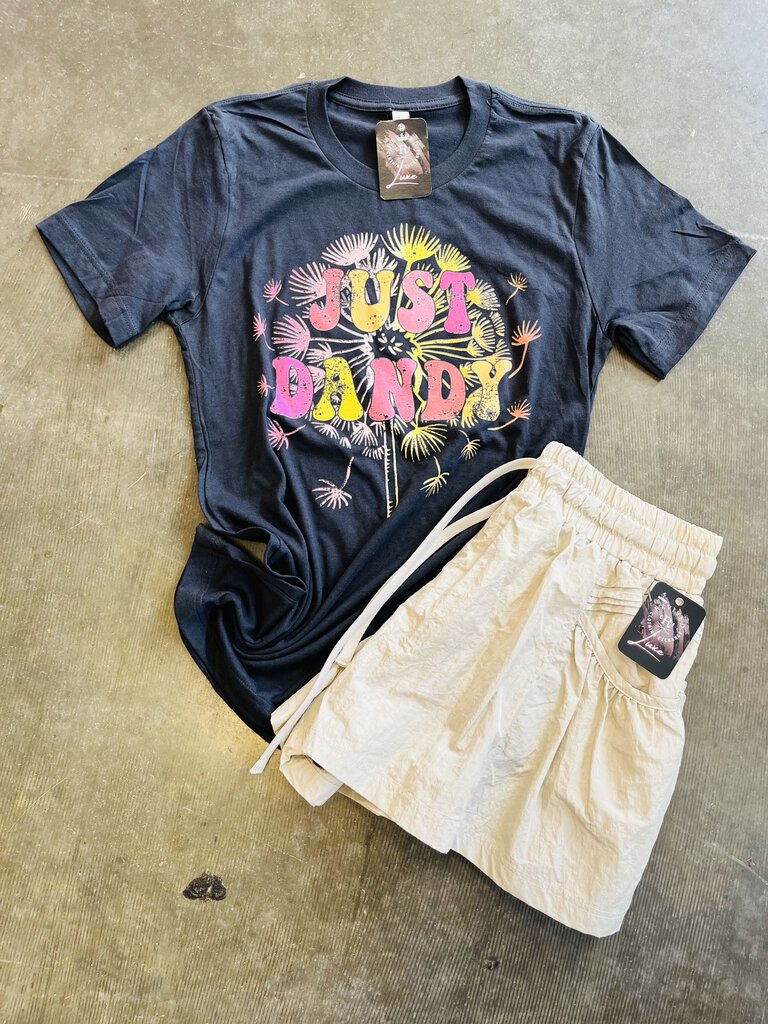 Just Dandy Grey Graphic Tee Womens