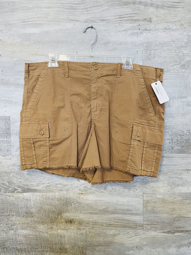 (16) American Eagle Brown Lightweight Shorts Women's