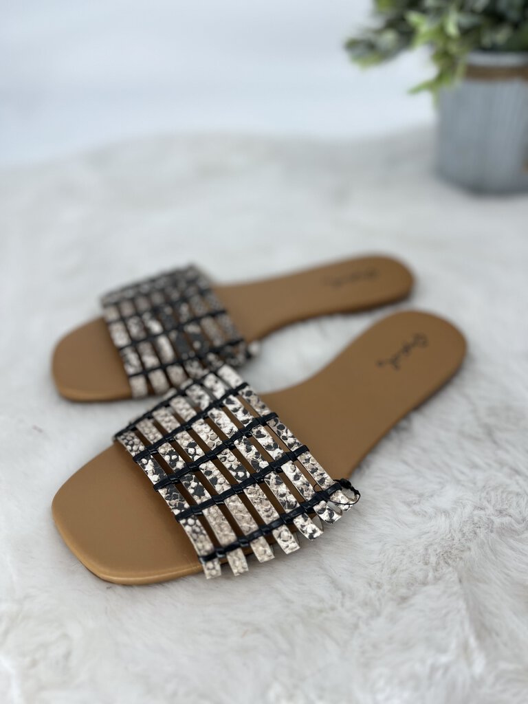(6) Qupid Snake Print Sandals womens